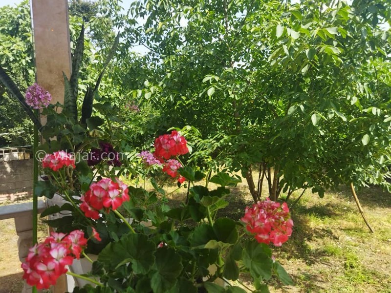 عکس شماره 713935 - اجاره ویلا در ماسال شاندرمن - 