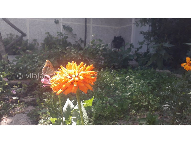 عکس شماره 714162 - اجاره اقامتگاه در کلیبر آذربایجان -