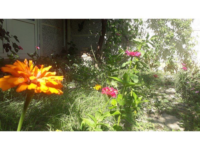 عکس شماره 714163 - اجاره اقامتگاه در کلیبر آذربایجان -