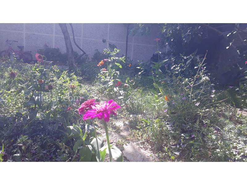 عکس شماره 714164 - اجاره اقامتگاه در کلیبر آذربایجان -