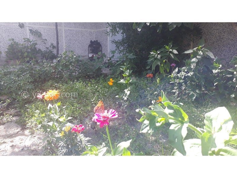 عکس شماره 714167 - اجاره اقامتگاه در کلیبر آذربایجان -