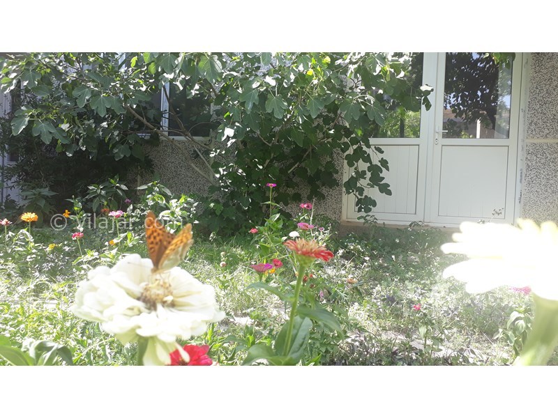 عکس شماره 714168 - اجاره اقامتگاه در کلیبر آذربایجان -