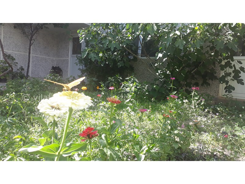 عکس شماره 714171 - اجاره اقامتگاه در کلیبر آذربایجان -