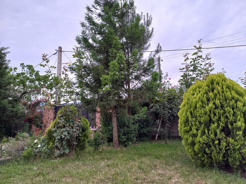 عکس شماره 714426 - اجاره ویلا در دل طبیعت ماسال - 