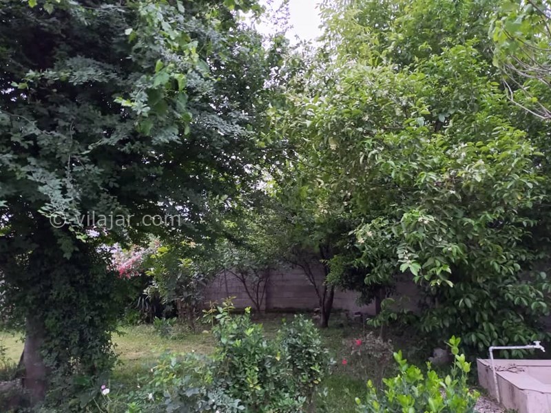 عکس شماره 714431 - اجاره ویلا در دل طبیعت ماسال - 