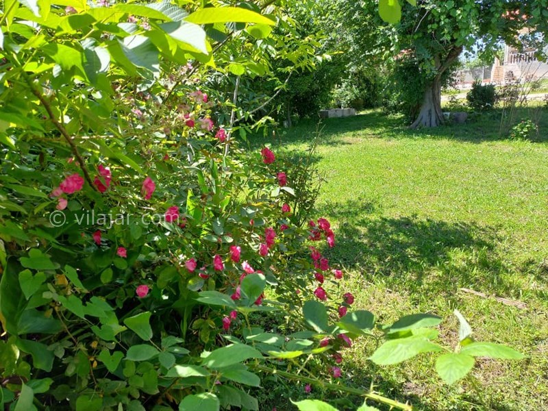 عکس شماره 714460 - اجاره ویلا در دل طبیعت ماسال - 