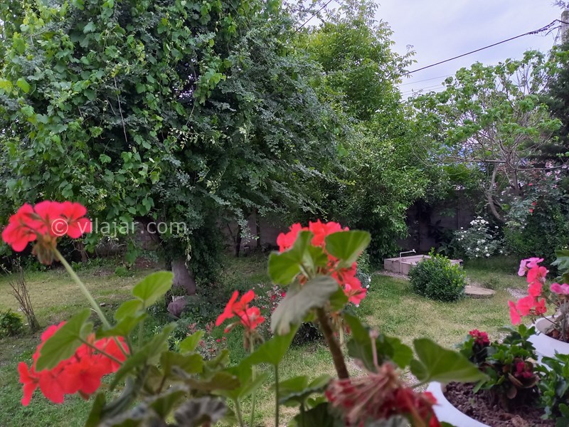عکس شماره 714470 - اجاره ویلا در دل طبیعت ماسال - 