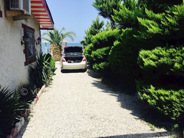 عکس شماره 71481 - اجاره ویلا استخردار ساحلی - 