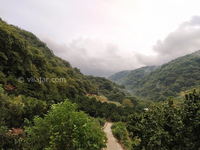 عکس شماره 714992 - اجاره ویلا با ویو جنگل در بهشهر - 