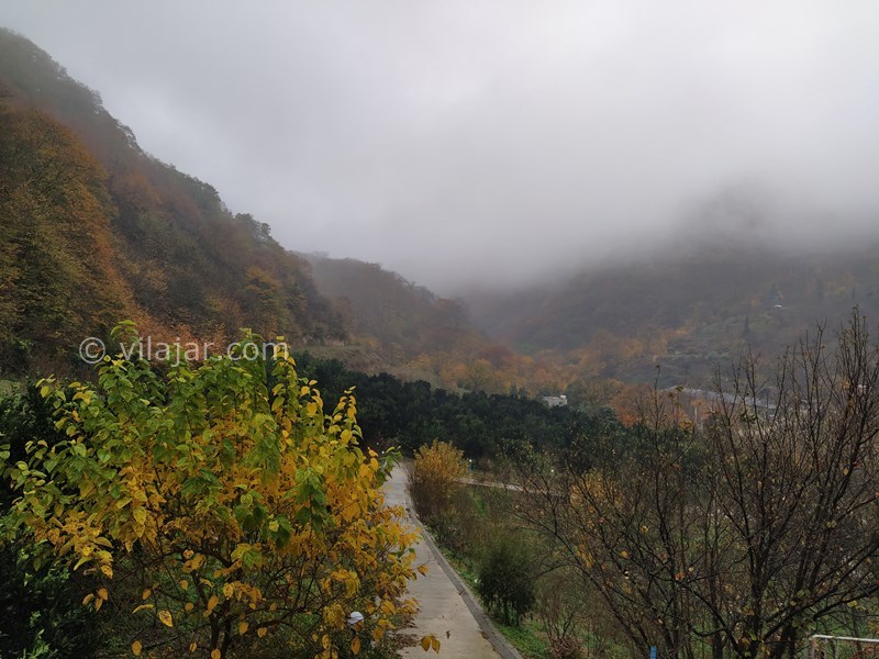 عکس شماره 714994 - اجاره ویلا با ویو جنگل در بهشهر - 