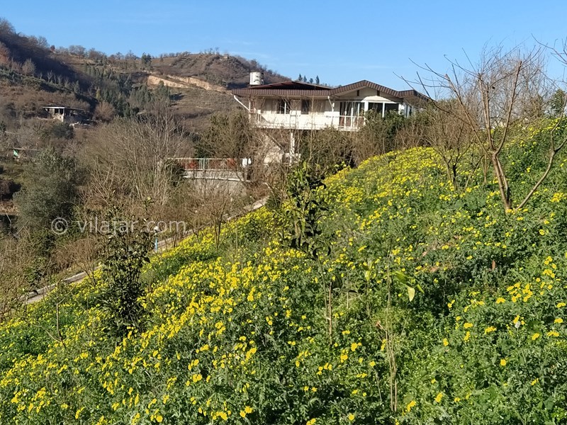 عکس شماره 714996 - اجاره ویلا با ویو جنگل در بهشهر - 