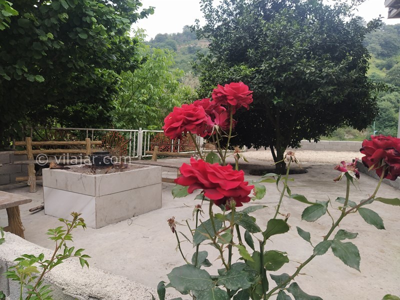 عکس شماره 715002 - اجاره ویلا با ویو جنگل در بهشهر - 