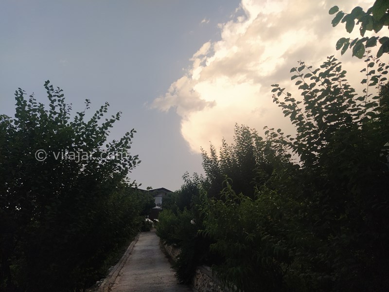 عکس شماره 715008 - اجاره ویلا با ویو جنگل در بهشهر - 