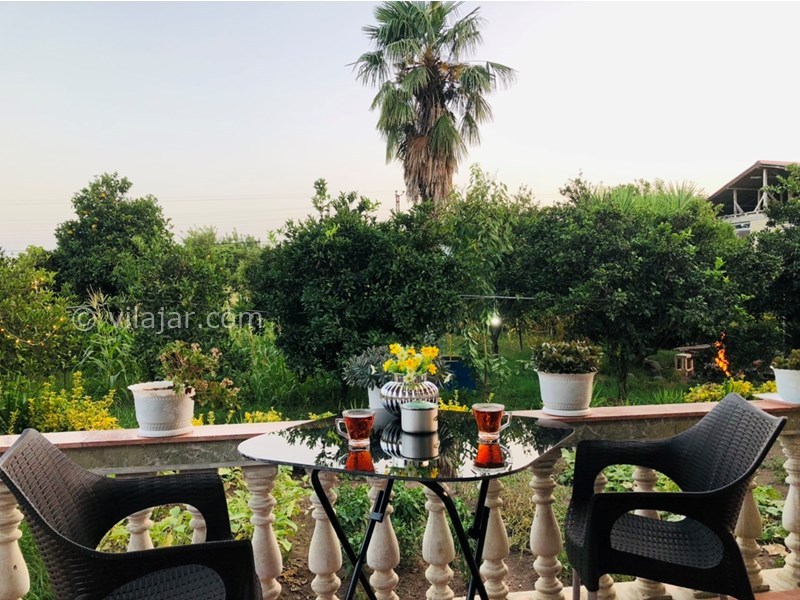 عکس شماره 715800 - اجاره ویلا باغ در تالش لیسار - نمای کلی