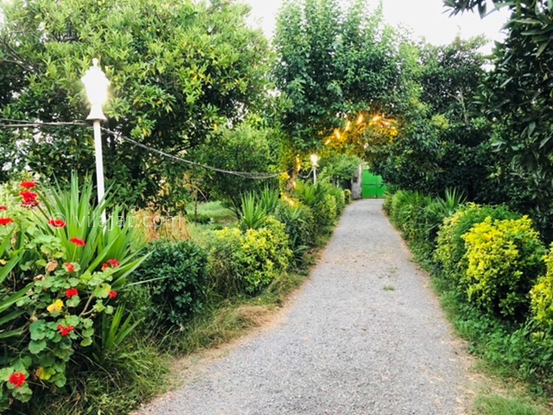 عکس شماره 715803 - اجاره ویلا باغ در تالش لیسار -