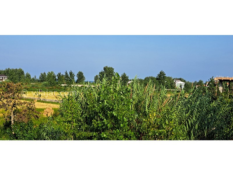 عکس شماره 716202 - اجاره ویلا در چمخاله - 