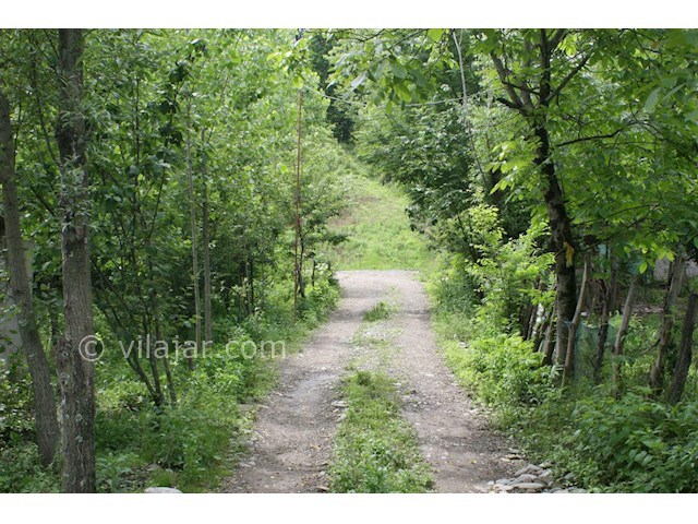 عکس شماره 71636 - ویلا باغ جنگلی در ماسال تاسکوه - کوچه خاکی 8 متری شخصی ورودی ویلا