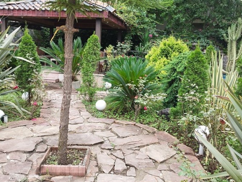 عکس شماره 717203 - اجاره ویلای استخر دار در نوشهر -