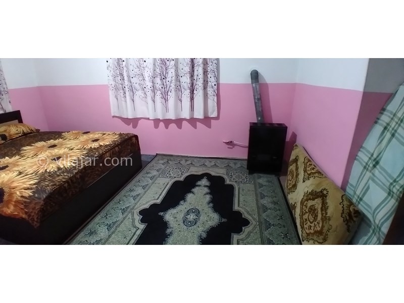 عکس شماره 718229 - اجاره ویلا در رامسر باغ مرکبات -