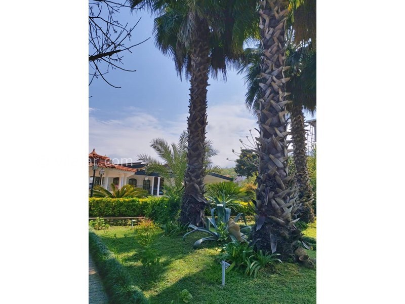 عکس شماره 718816 - اجاره ویلا باغ استخردار در نوشهر - 