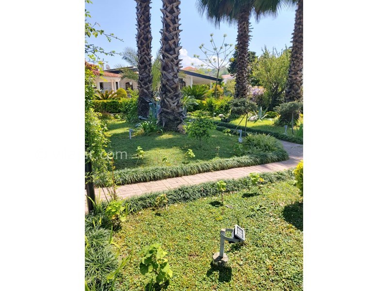 عکس شماره 718818 - اجاره ویلا باغ استخردار در نوشهر - 