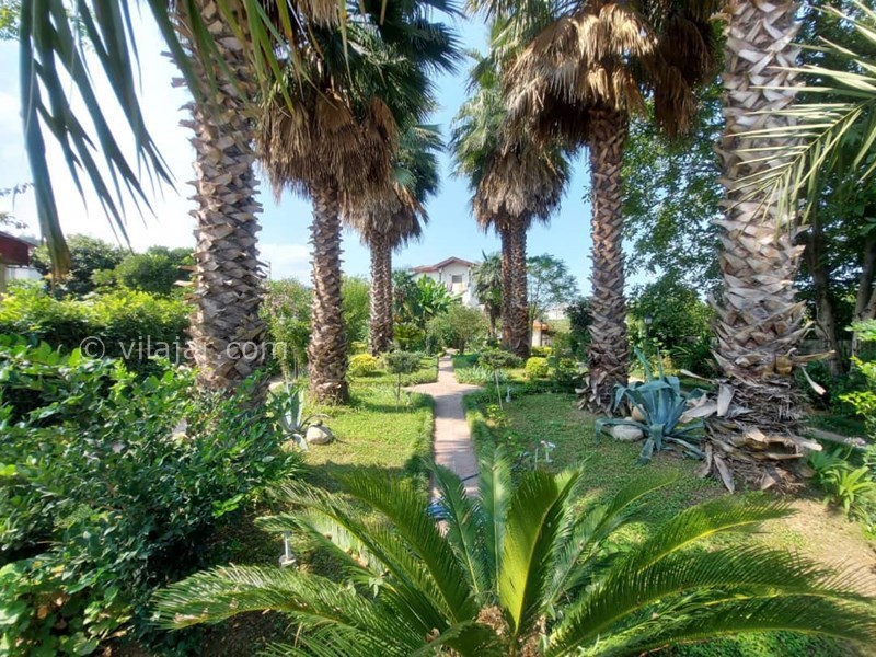 عکس شماره 718835 - اجاره ویلا باغ استخردار در نوشهر - 