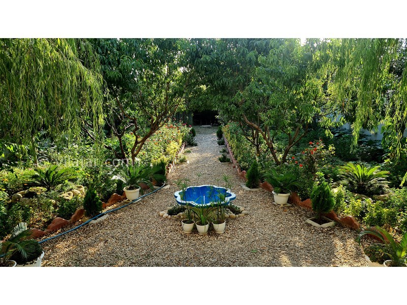 عکس شماره 720688 - اجاره ویلا نزدیک گرگان - حوض و آب نما و انبوه درختان 