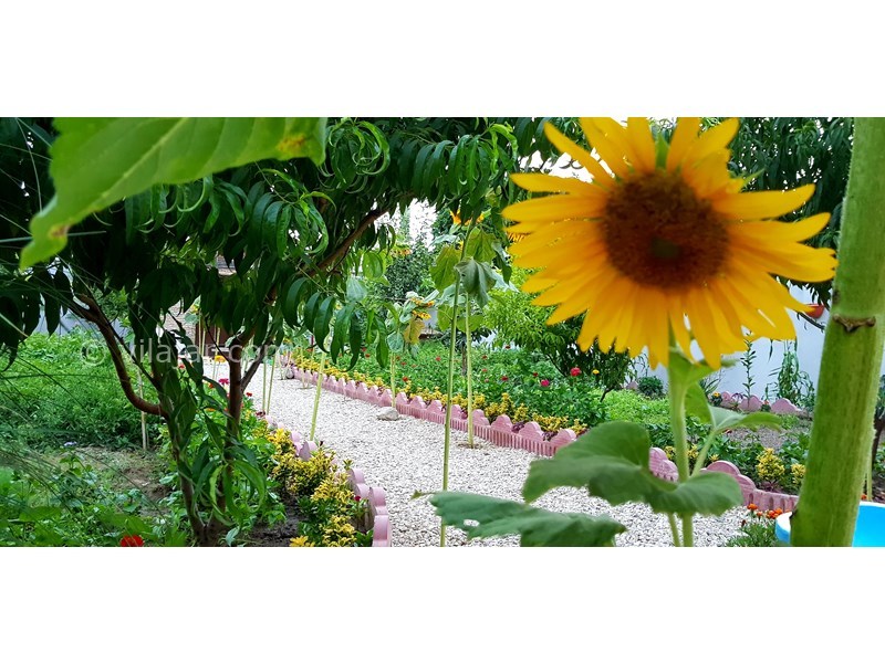 عکس شماره 720690 - اجاره ویلا نزدیک گرگان - نگارگری های باغبان 
