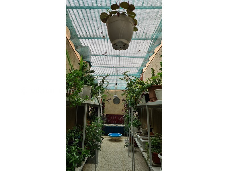 عکس شماره 720695 - اجاره ویلا نزدیک گرگان - گلخانه