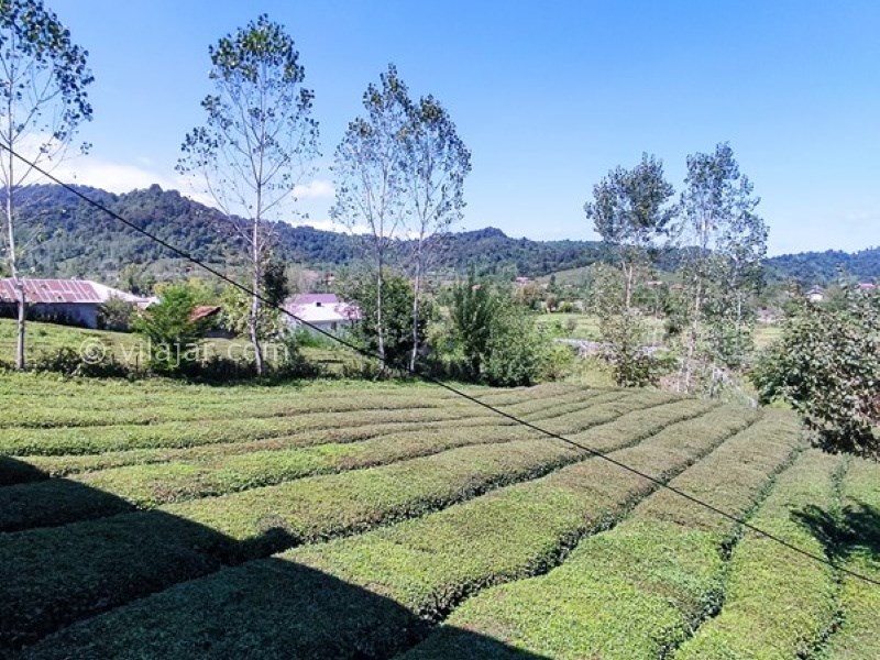 عکس شماره 721128 - خانه اجاره ای نزدیک فومن - 