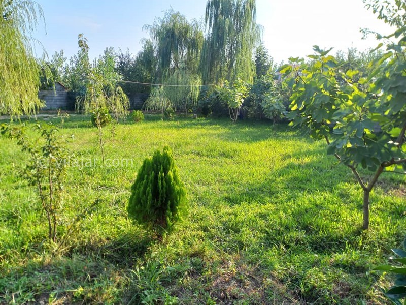 عکس شماره 721806 - ویلا اجاره ای ماسال شاندرمن - 