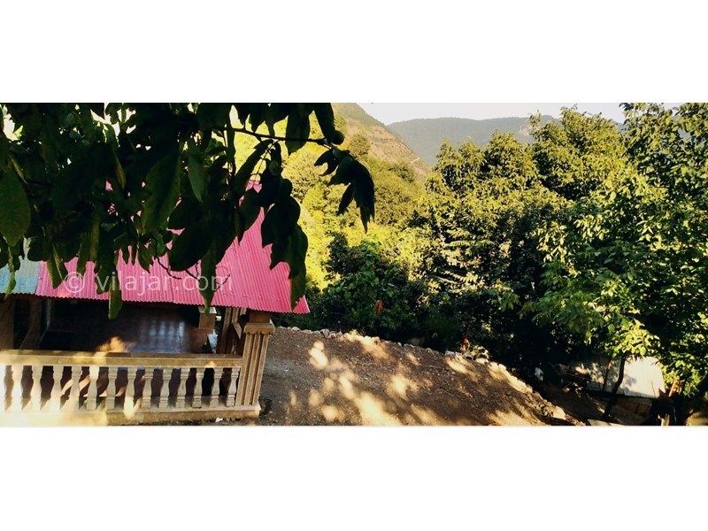 عکس شماره 721947 - اجاره ویلا ییلاقی در تالش مریان - 