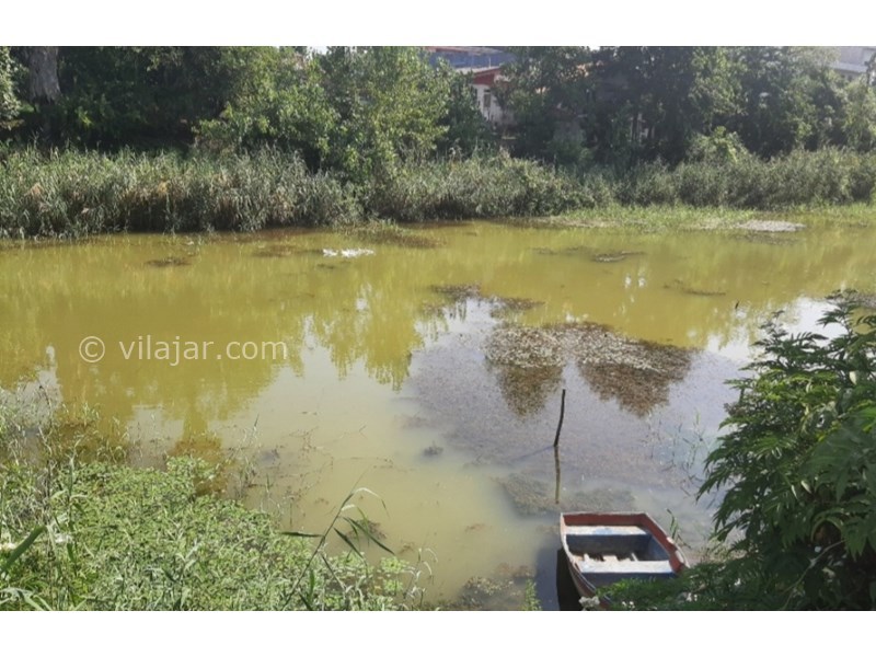 عکس شماره 722120 - اجاره اقامتگاه در نشتارود - مرداب