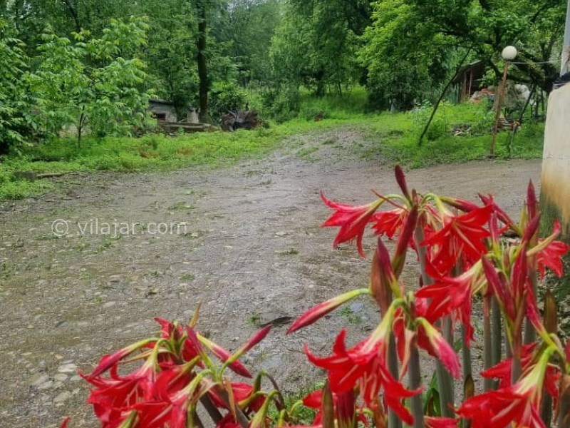 عکس شماره 722224 - اجاره خانه روستایی جنگلی در ماسال - 