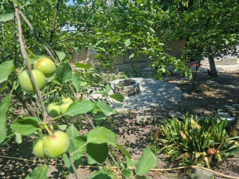 عکس شماره 722227 - اجاره خانه روستایی جنگلی در ماسال - 