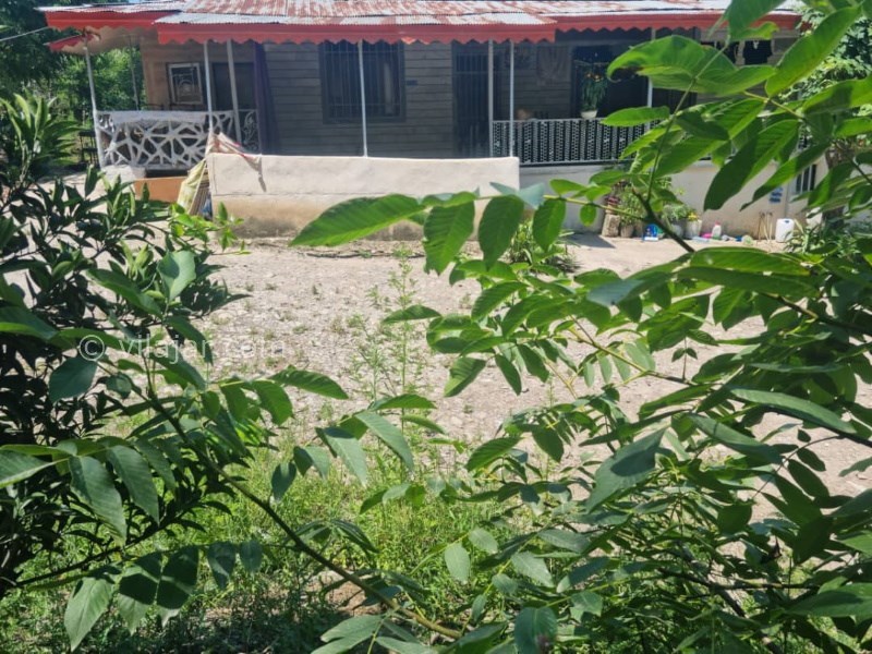 عکس شماره 722228 - اجاره خانه روستایی جنگلی در ماسال - 