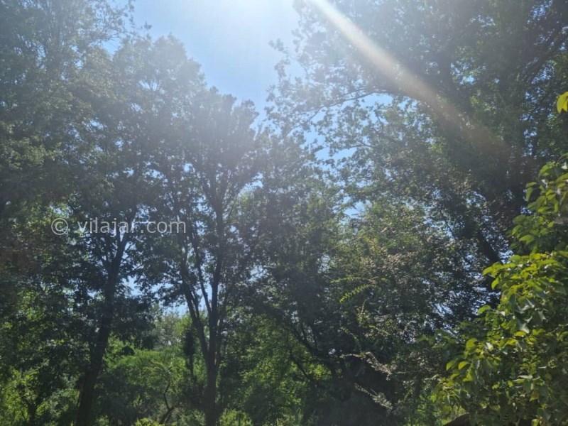 عکس شماره 722231 - اجاره خانه روستایی جنگلی در ماسال - 