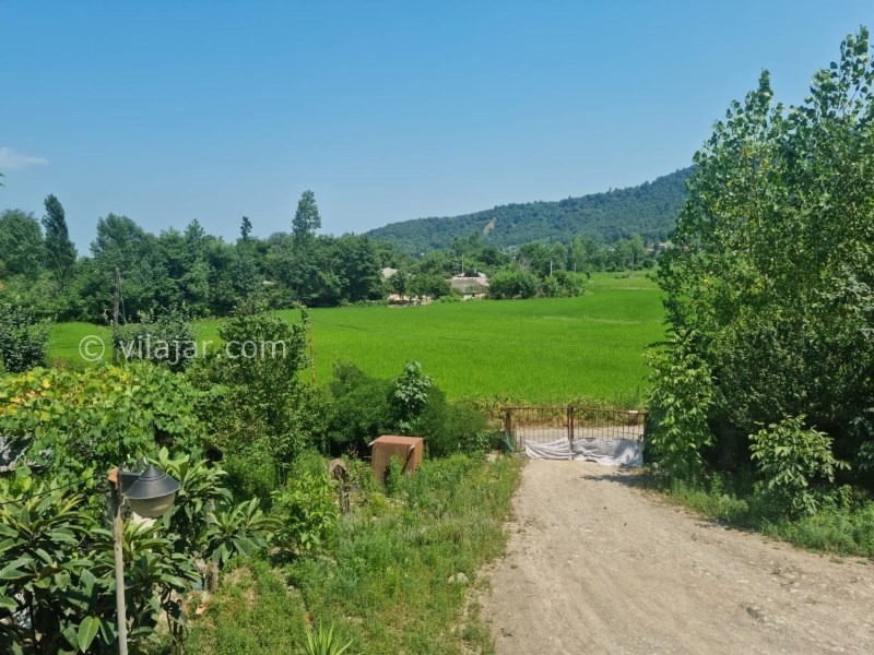 عکس شماره 722236 - اجاره خانه روستایی جنگلی در ماسال - 
