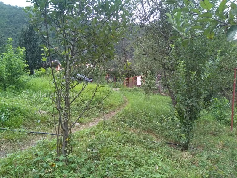 عکس شماره 722560 - اجاره اقامتگاه نقلی در ماسال - 