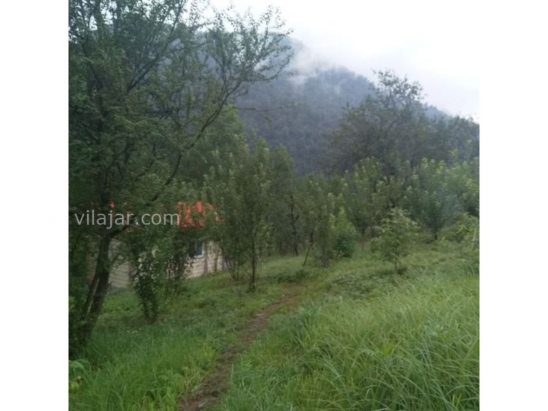 عکس شماره 722563 - اجاره اقامتگاه نقلی در ماسال - 