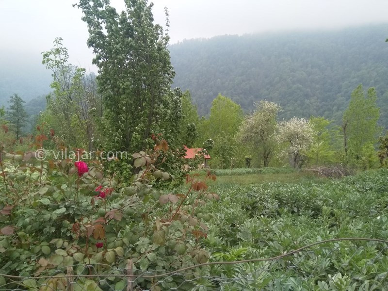 عکس شماره 722568 - اجاره اقامتگاه نقلی در ماسال - 