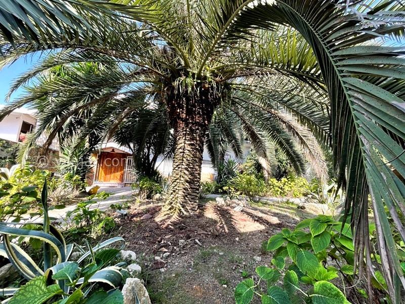 عکس شماره 722974 - اجاره ویلا استخردار ساحل اختصاصی - 