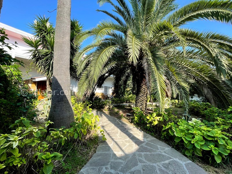 عکس شماره 722977 - اجاره ویلا استخردار ساحل اختصاصی - 