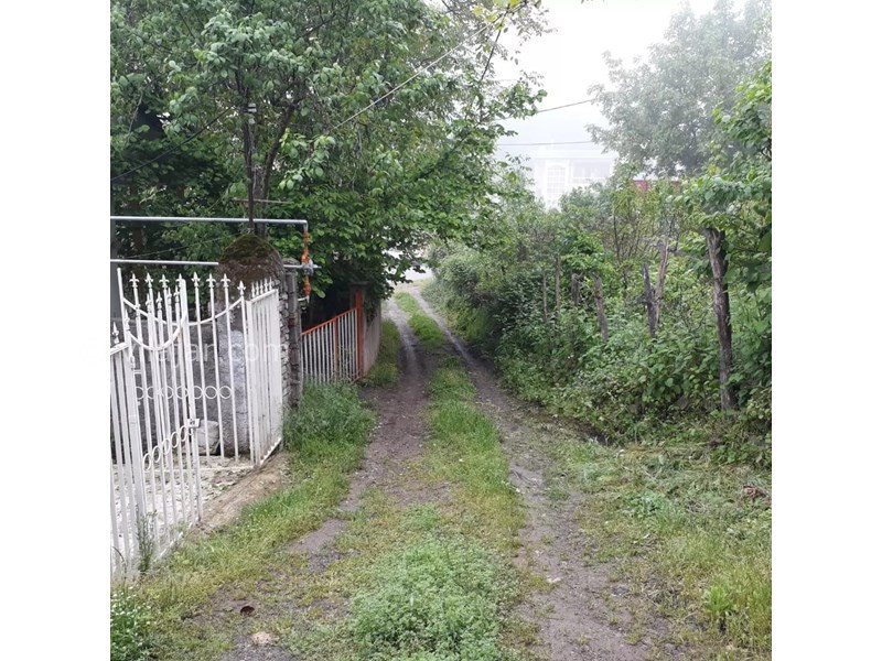 عکس شماره 723231 - اقامتگاه روستایی در علی آباد کتول -