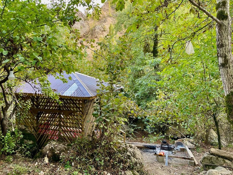 عکس شماره 725095 - اجاره ویلا رامسر جنگل دالخانی - 