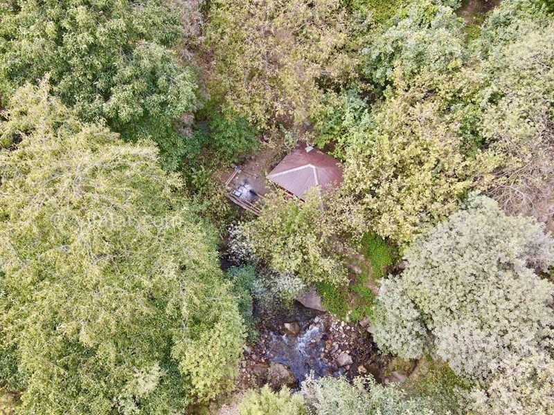 عکس شماره 725096 - اجاره ویلا رامسر جنگل دالخانی - 