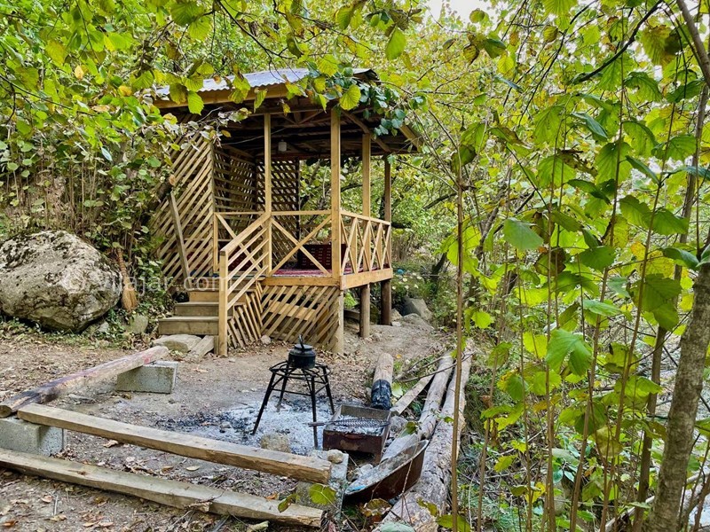 عکس شماره 725106 - اجاره ویلا رامسر جنگل دالخانی - 