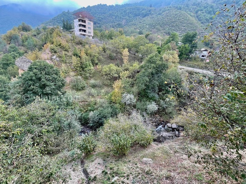 عکس شماره 725128 - اجاره ویلا رامسر جنگل دالخانی - 