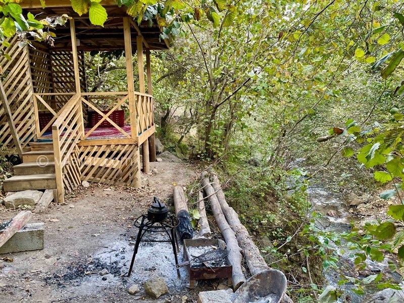 عکس شماره 725130 - اجاره ویلا رامسر جنگل دالخانی - 