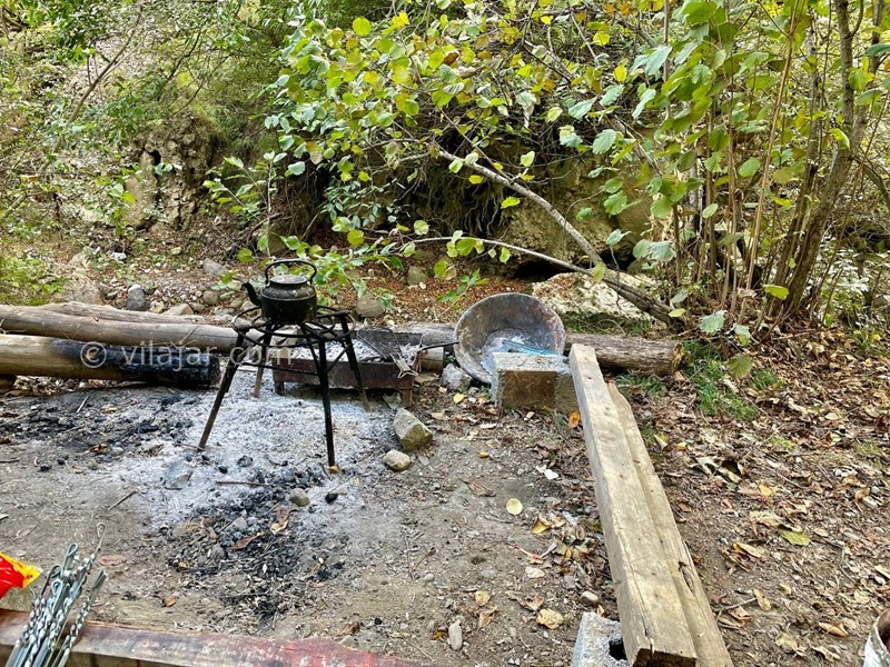 عکس شماره 725131 - اجاره ویلا رامسر جنگل دالخانی - 